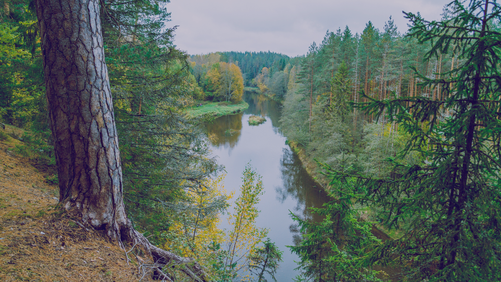 Lasāma jaunākā ViA UNESCO katedras "Biosfēra un cilvēks" ziņu lapa